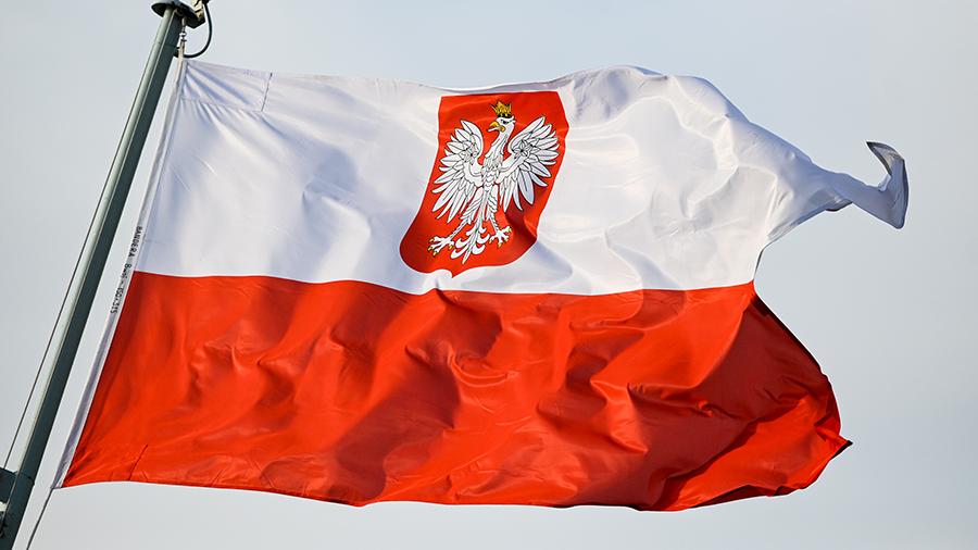 Польский профессор заявил, что Германии не нужен «успех» Киева из-за связей с РФ